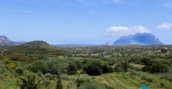 Beautiful Stazzo with sea view for sale ref. Sasso