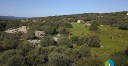 Incant Stazzo zu verkaufen Arzachena ref. Li Muri