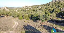 Terreno agricolo in vendita Arzachena ref Cacabrocciu