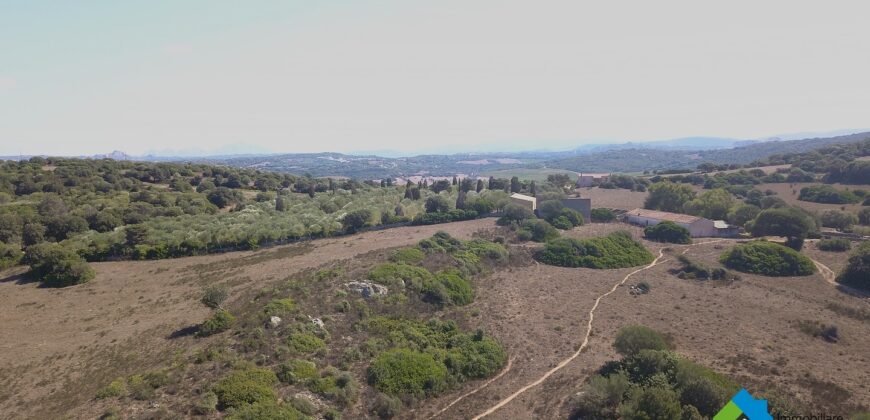 Wunderschöne Stazzu zu verkaufen in Gallura ref Cacabrocciu