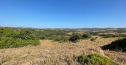 Terreno agricolo in vendita Arzachena ref Cacabrocciu