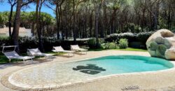 Villa with pool Budoni for sale ref Villa Mavi