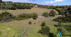 Stazzo gallurese for sale ref Murichintu