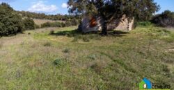 Country home for sale Olbia ref-murichintu