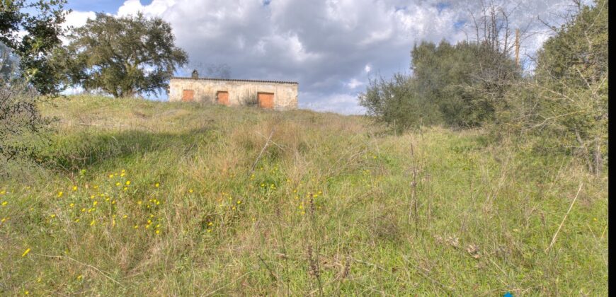 Country home for sale Olbia ref-murichintu