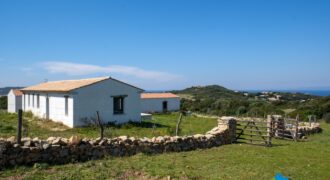 farmland for sale Sardinia ref Ficaccia