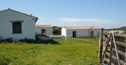 farmland for sale Sardinia ref Ficaccia