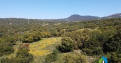 Houses for sale in putzolu Olbia ref Micaloni