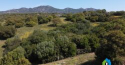 Houses for sale in putzolu Olbia ref Micaloni