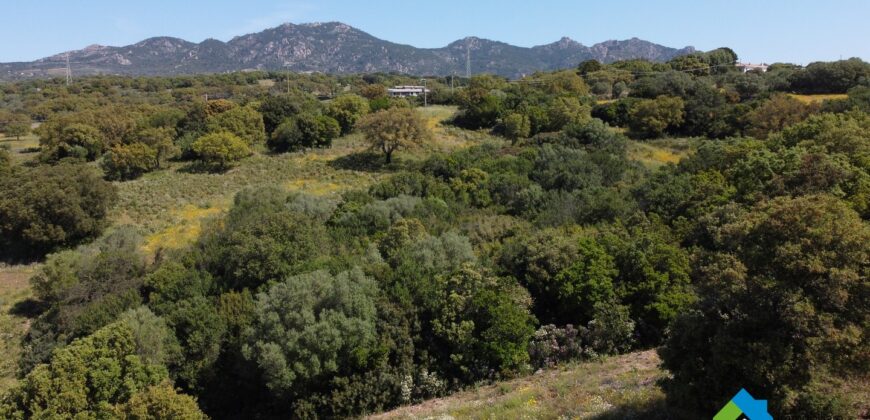 Houses for sale in putzolu Olbia ref Micaloni