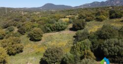 Houses for sale in putzolu Olbia ref Micaloni