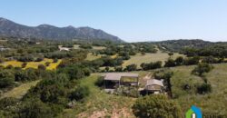 Houses for sale in putzolu Olbia ref Micaloni