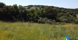 Houses for sale in putzolu Olbia ref Micaloni
