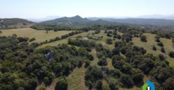 Houses for sale in putzolu Olbia ref Micaloni