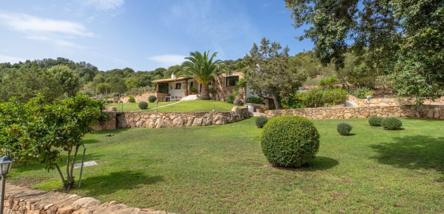 Villa in vendita a San Pantaleo ref Monica