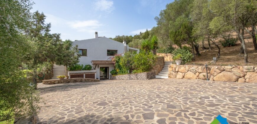 Villa in vendita a San Pantaleo ref Monica
