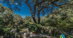 Stazzo for sale in Gallura ref Stazzu Lutu