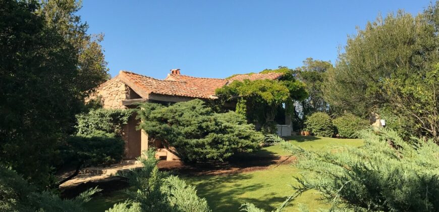 Villa for sale La Celvia Porto Cervo ref Ark.
