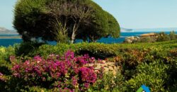 Casa in vendita Punta Molara con vista mare ref Ibisco