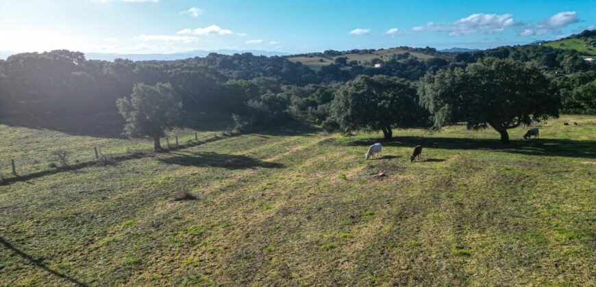 Terreni e rustici  in vendita Olbia Ref Austinacciu