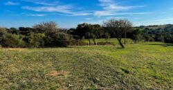 Land und Landhäuser zu verkaufen Olbia Ref Austinacciu