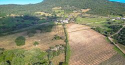 Terreni e rustici  in vendita Olbia Ref Austinacciu