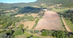 Terreni e rustici  in vendita Olbia Ref Austinacciu