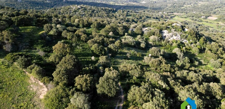 Terreno agricolo in vendita Olbia ref  Teggja di L’ea
