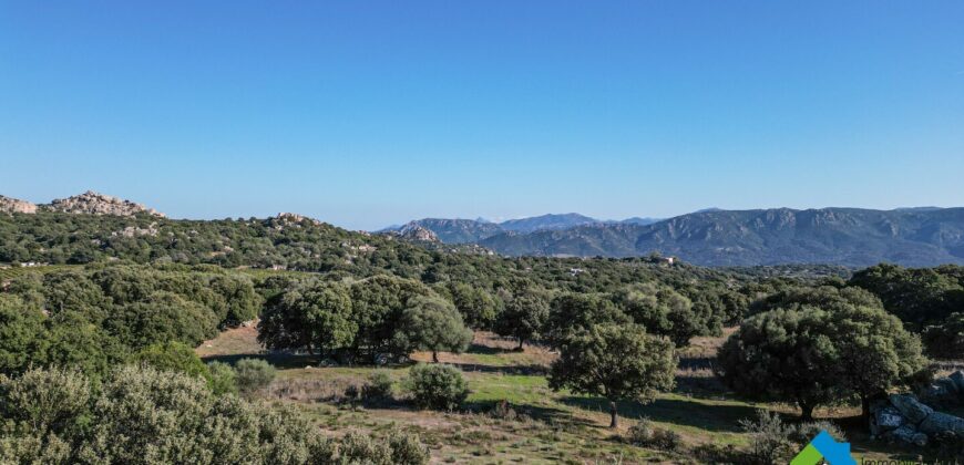 Terreno agricolo in vendita Telti Olbia ref AraMan