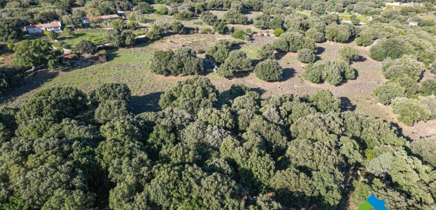 Farmland for sale Telti Olbia ref AraMan