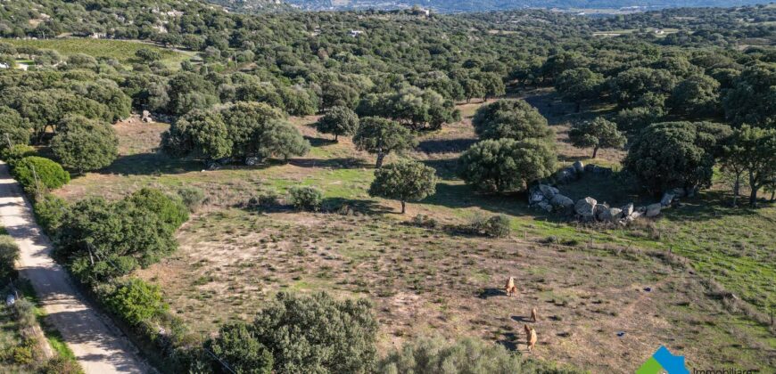 Farmland for sale Telti Olbia ref AraMan