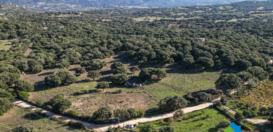 Farmland for sale Telti Olbia ref AraMan