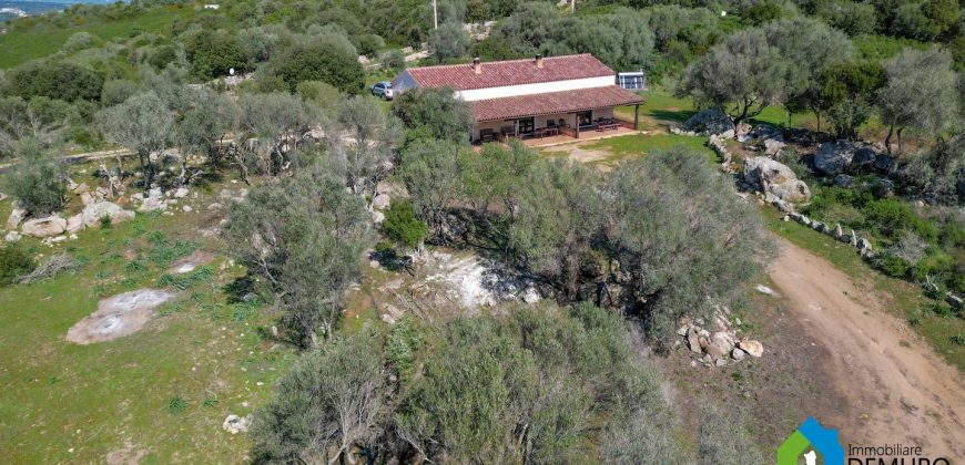Stazzo in vendita a Luogosanto Ref Biagio 1
