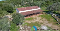 Stazzo in vendita a Luogosanto Ref Biagio 1