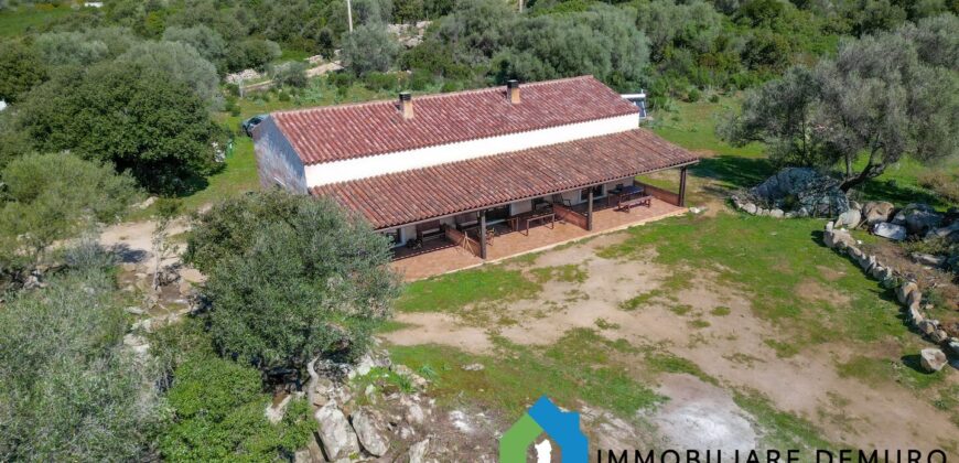 Stazzo in vendita a Luogosanto Ref Biagio 1