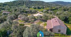 Stazzo in vendita a Luogosanto Ref Biagio 1