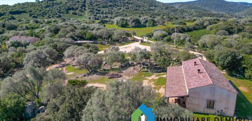 Stazzo in vendita a Luogosanto Ref Biagio 1