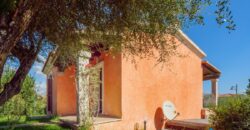 Villa in vendita Pittulongu ref 181 S Bon