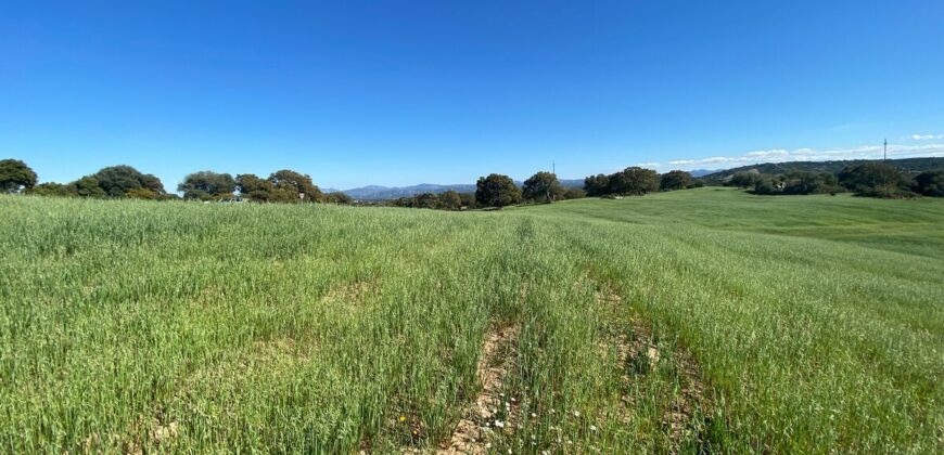 Terreno agricolo in vendita a Telti ref Taroni