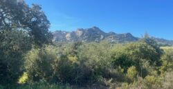 Terreno agricolo in vendita a Telti ref Taroni
