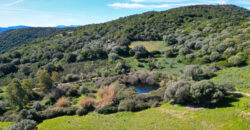 Stazzo in vendita Arzachena ref San Biagio