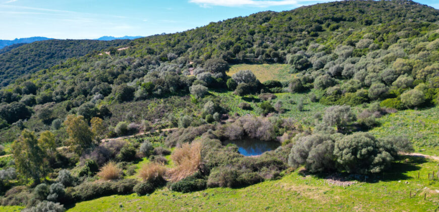 Stazzo in vendita Arzachena ref San Biagio