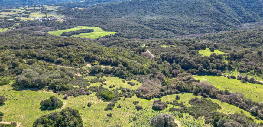 Stazzo in vendita Arzachena ref San Biagio