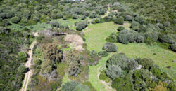 Stazzo in vendita Arzachena ref San Biagio