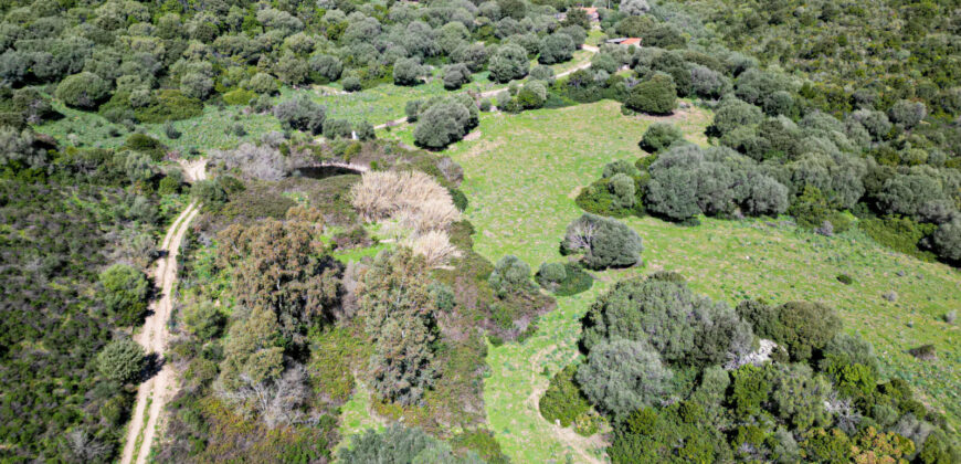 Stazzo in vendita Arzachena ref San Biagio
