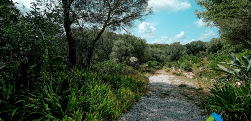 Casa di campagna in vendita Luogosanto Ref Calcinaggiu