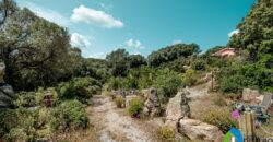 Casa di campagna in vendita Luogosanto Ref Calcinaggiu