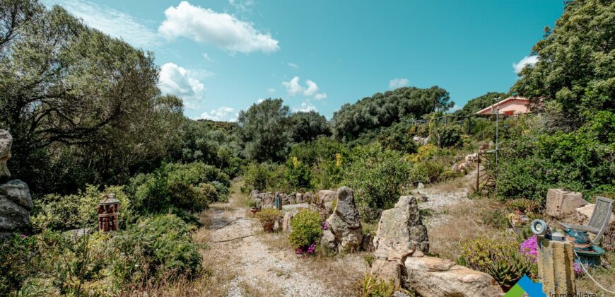 Casa di campagna in vendita Luogosanto Ref Calcinaggiu