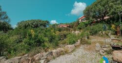 Casa di campagna in vendita Luogosanto Ref Calcinaggiu