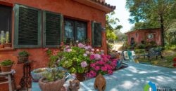 Casa di campagna in vendita Luogosanto Ref Calcinaggiu